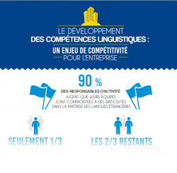 Infographie sur la formation linguistique
